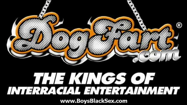XXX Black gay boys fuck white young dudes hard and deep 13 أفلام الطاقة