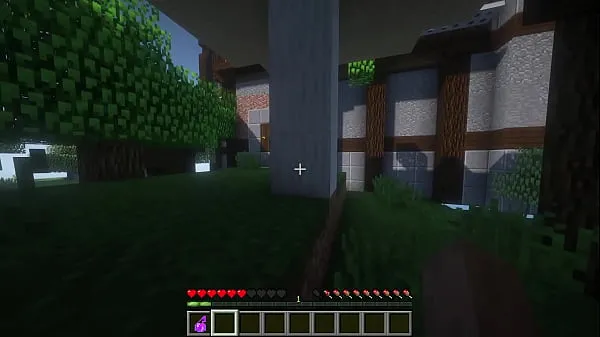 XXX Steve fucks Ellie right in her house in minecraft, all poses phim năng lượng